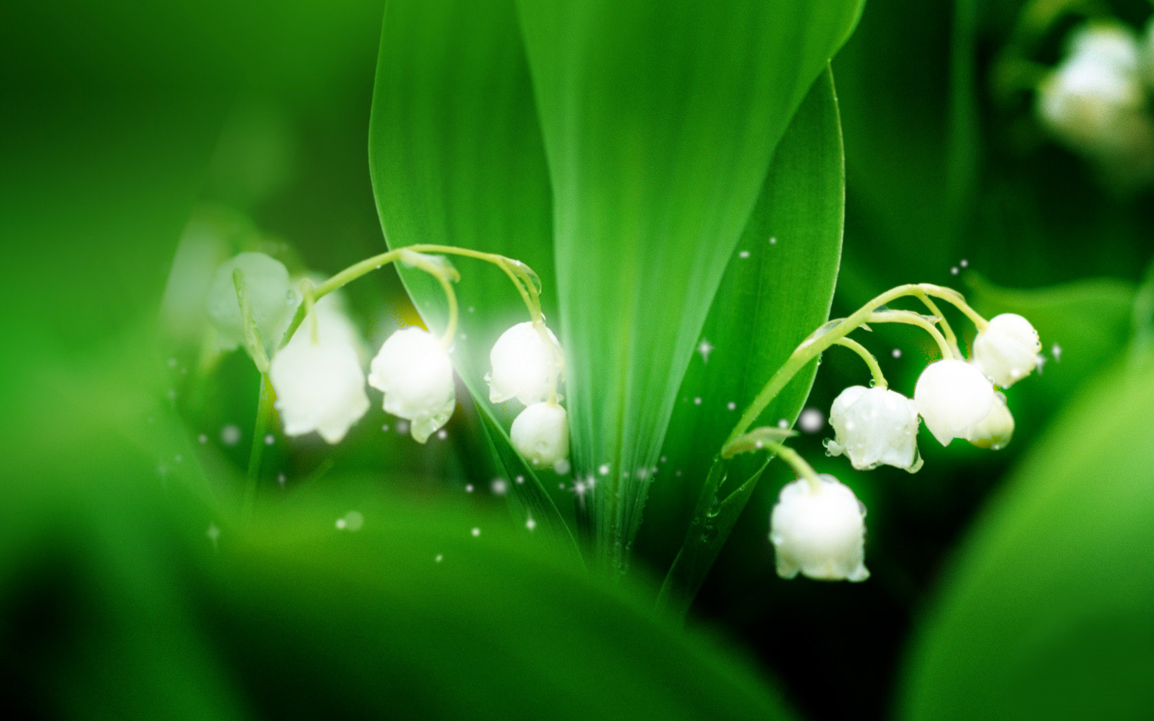 別跟我談感情多傷錢(qián)啊 快手搞笑有趣句子合集